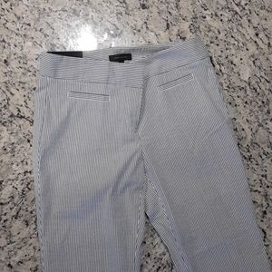 Ann Taylor Pants